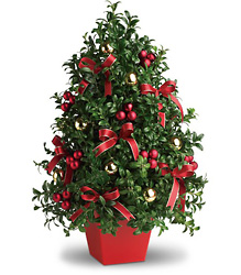 Deck the Halls Tree from Philips' Flower & Gift Shop